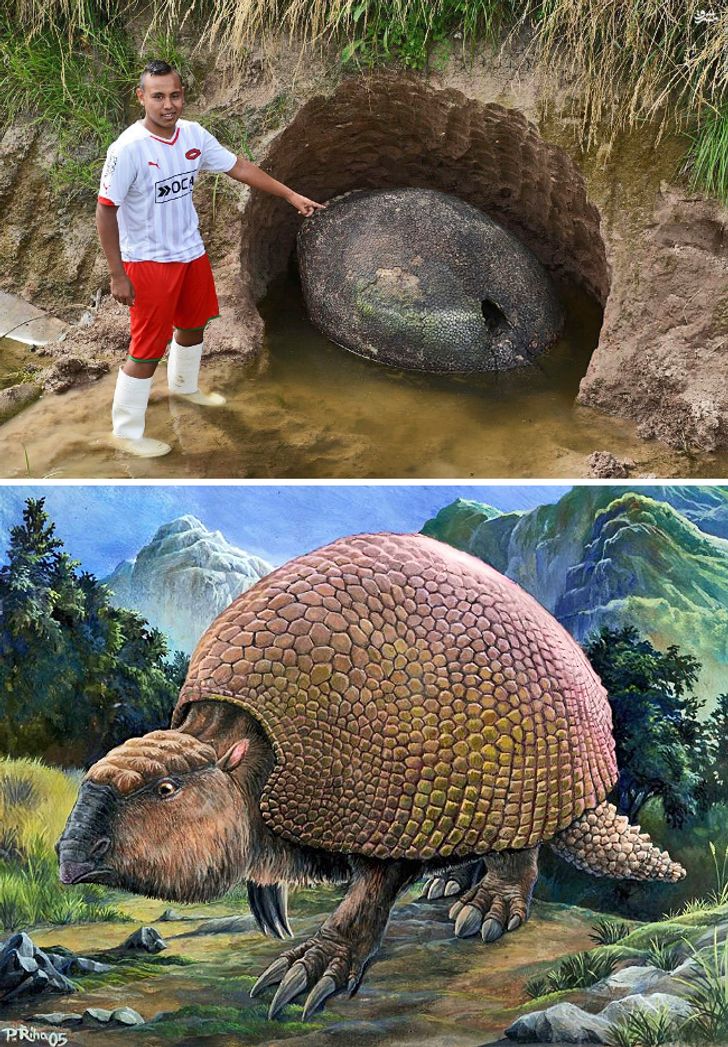 25张珍贵老照片合并制作指南