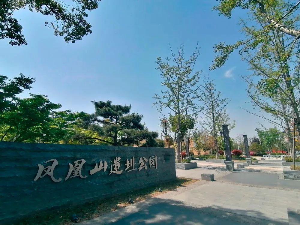 丹阳这些网红打卡地刷爆朋友圈