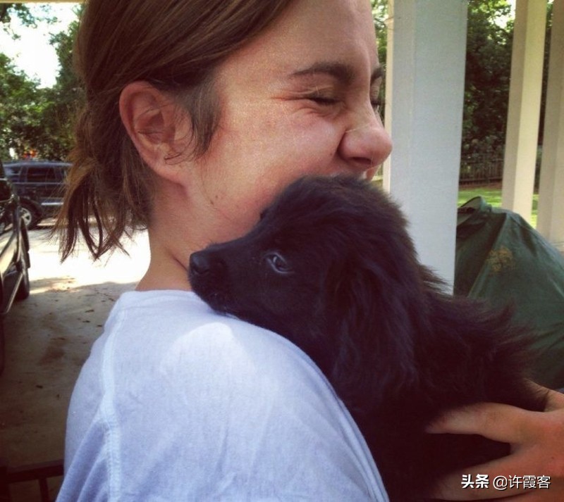 无论是狗仗人势，还是人模狗样，你的爱犬永远是你最忠诚的朋友