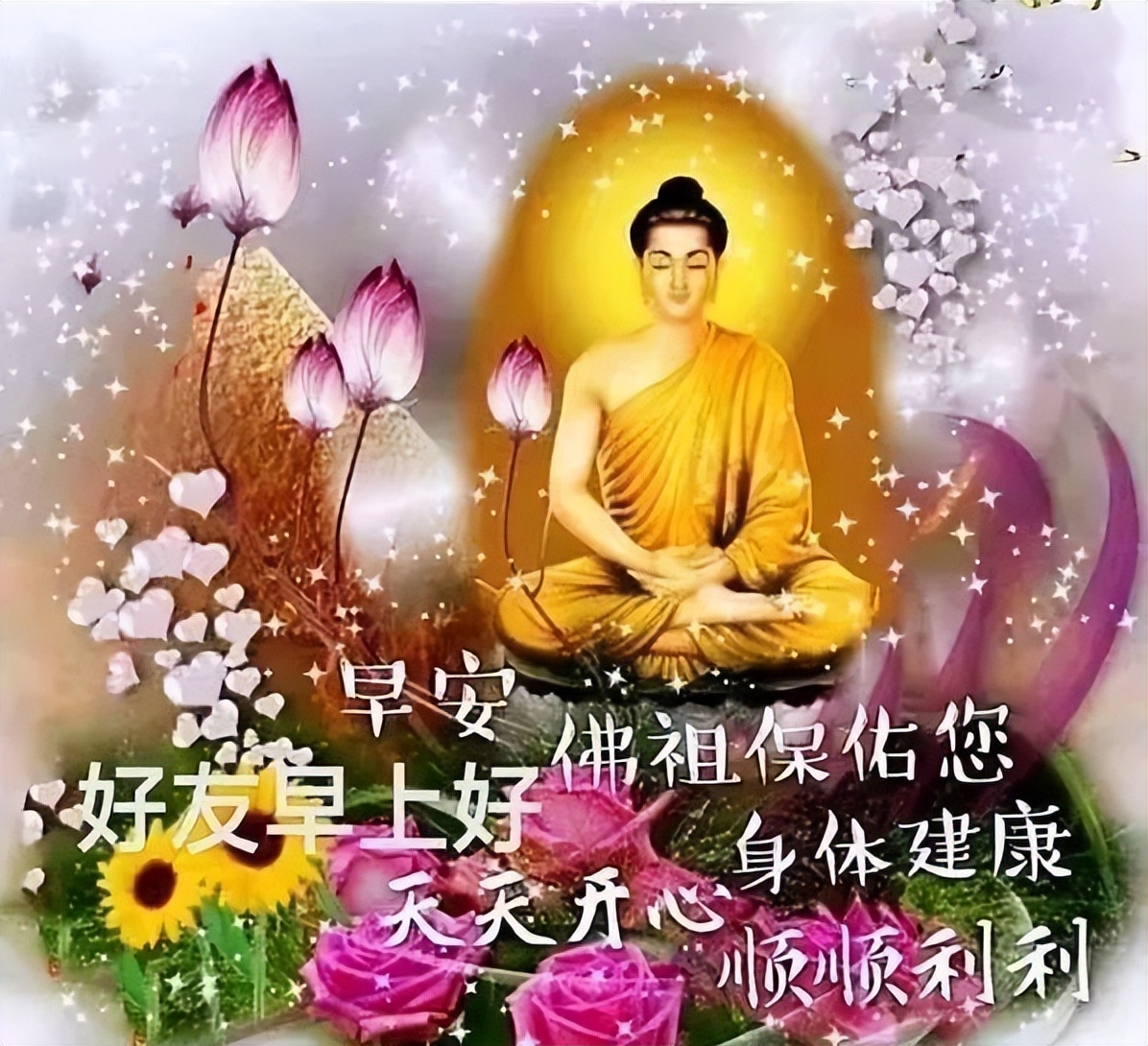 星期二微信漂亮的鲜花早上好问候问候语图片 珍惜所拥有的就是幸福图片