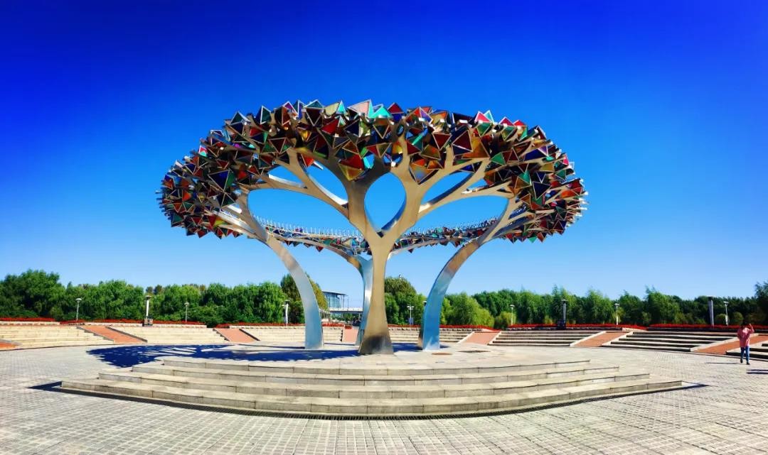 今日大雪！这所大学是东北最“暖”的地方之一