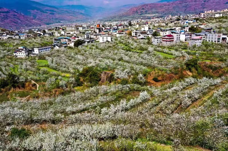 川渝采风团带你打卡“攀西阳光第一城”