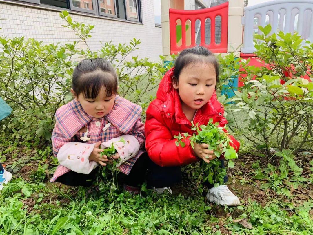 英卓恩达州园 | 种植探究式活动，让每个孩子都闪光