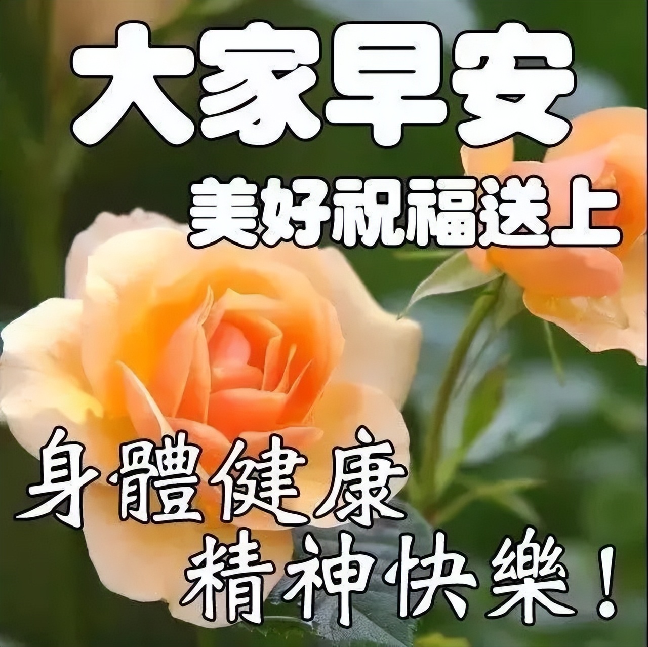 唯美温馨的星期六早上好经典句子大全 祝愿身体健康、精神愉快图片