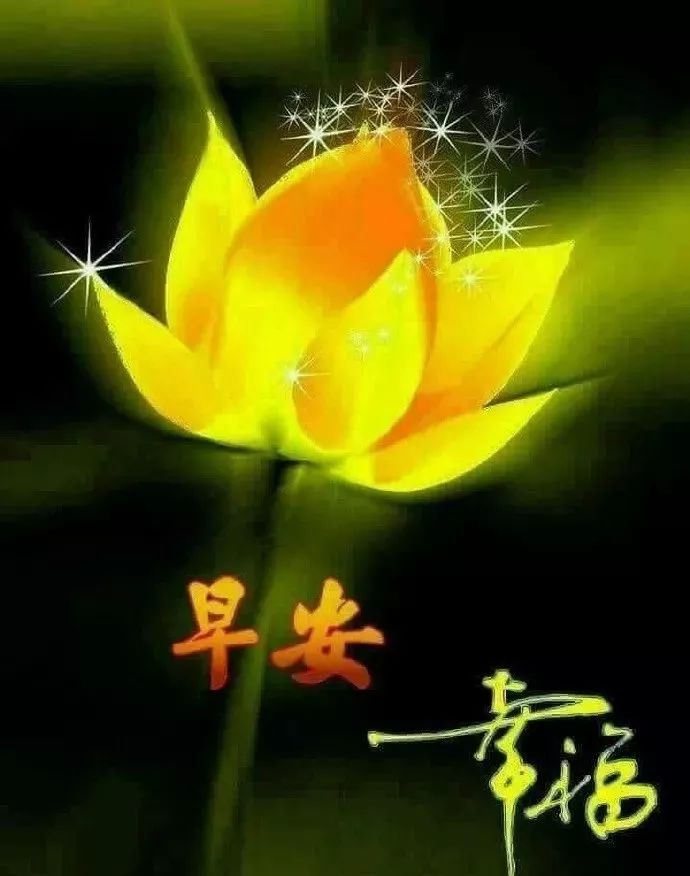 早上好表情大全 复制你的快乐 粘贴你的幸福 健康才是宝 快乐永不老图片