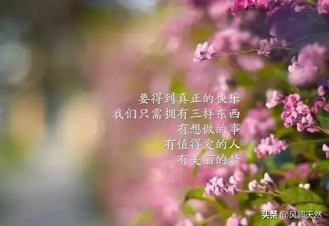 暖心的10句话送给你，闲看花开，静待花落，2022让每一天阳光明媚