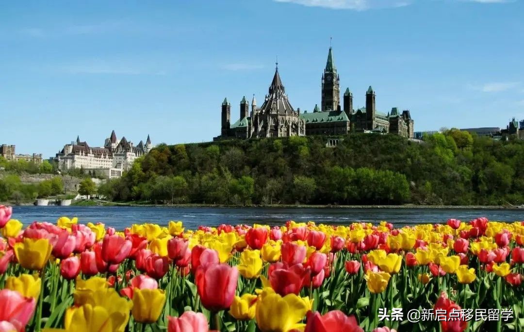 加拿大官宣：重启快速通道EE！6个月秒批PR，大开国门