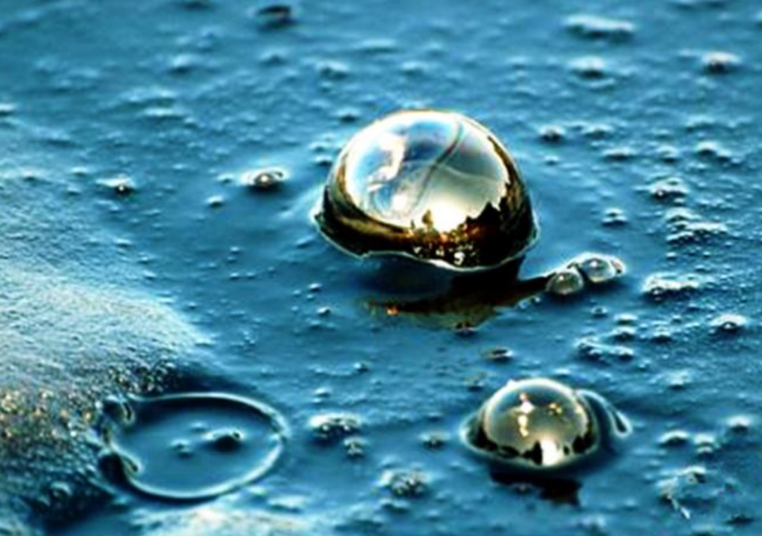 石油是古生物形成的？一个油田上亿吨石油，有那么多古代生物吗？