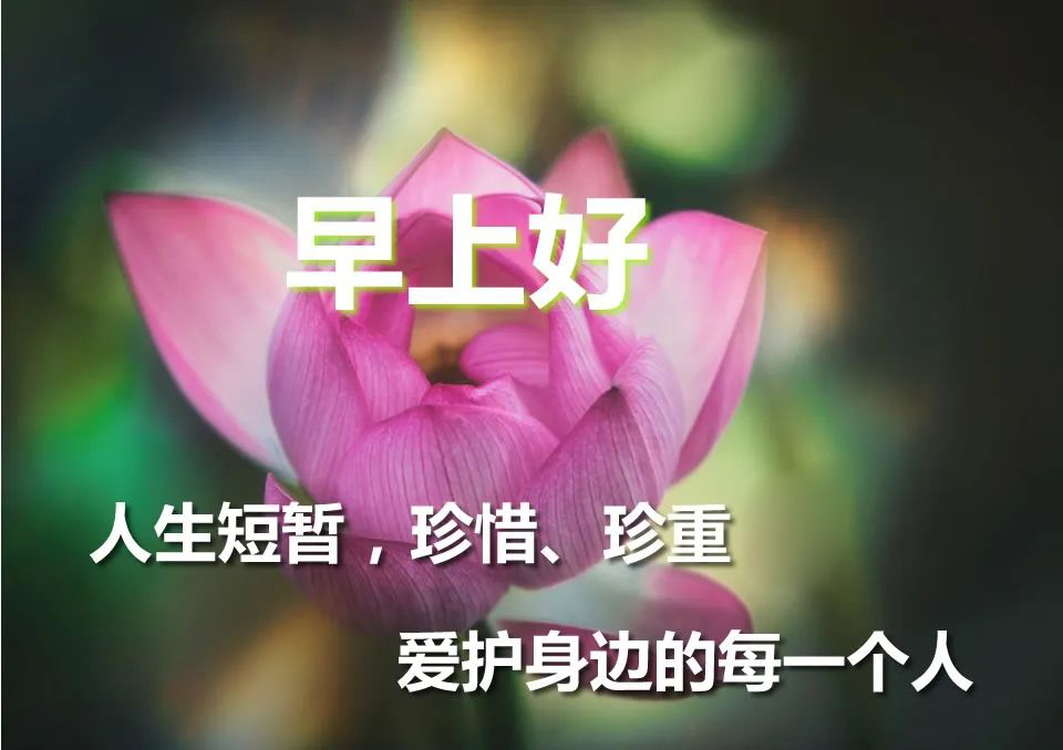 清晨早上好温暖早晨好问候关心祝福语句 早安带笑意、心情乐无比图片