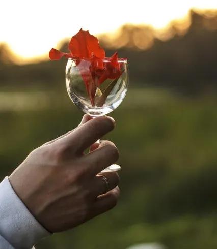 生活就是一杯酒，别说酸甜苦辣，你才是它的调酒师