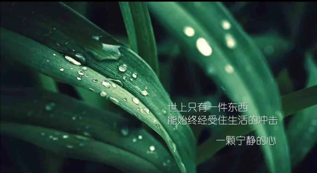 致自己（与你共勉）