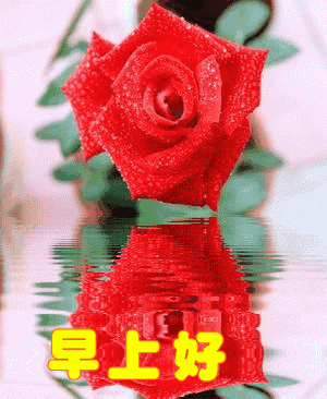 周日清晨暖人心的早上好问候语 一份友情，彼此永远珍藏在心底图片