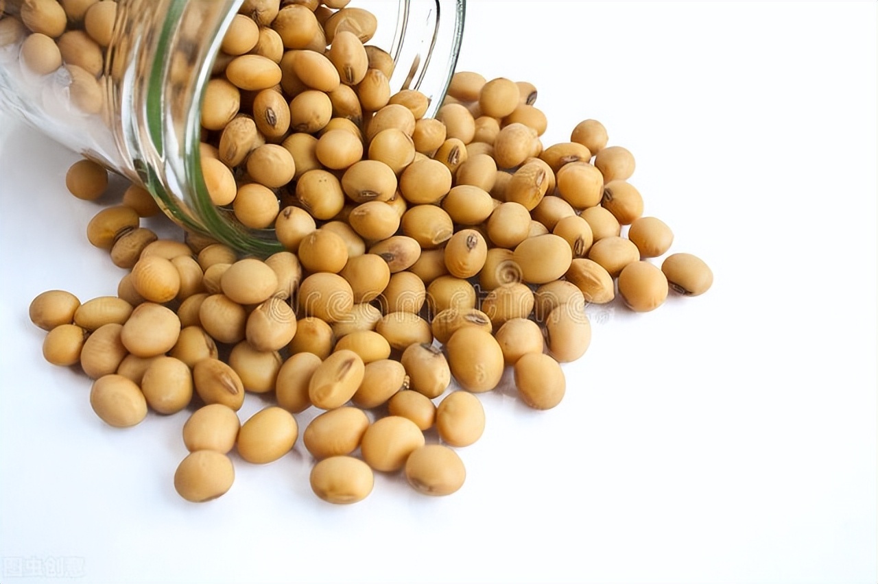 卵磷脂可預防癡呆，增強體能，建議中老年人：常吃3種高磷脂食材