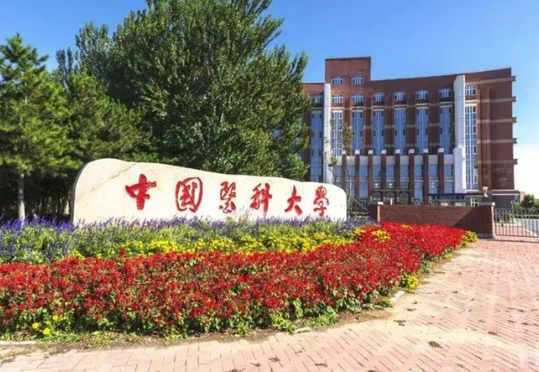 临床医学金字塔出炉，上海交大和浙大稳坐塔尖，山大跌出前三等