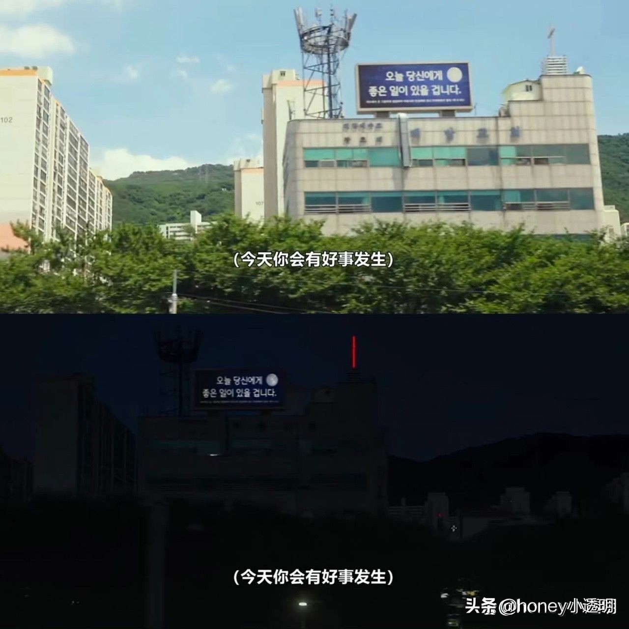 分享欲,才是最高级的浪漫!肖战曾经的“秘密花园”太治愈了