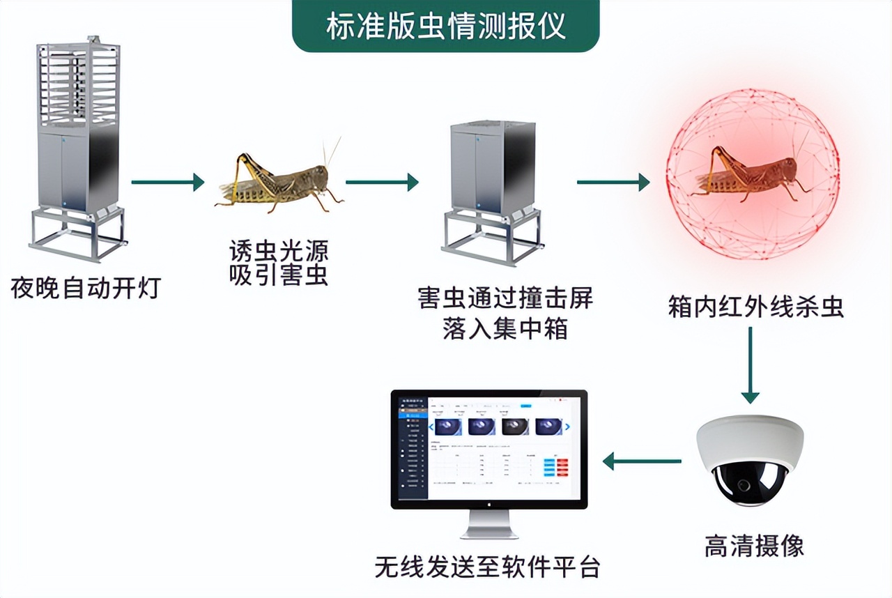 蟲(chóng)情測(cè)報(bào)儀“展新招”