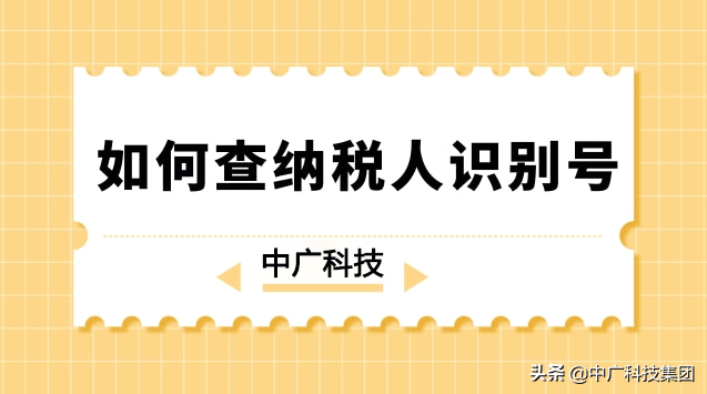 什么是纳税人识别号,