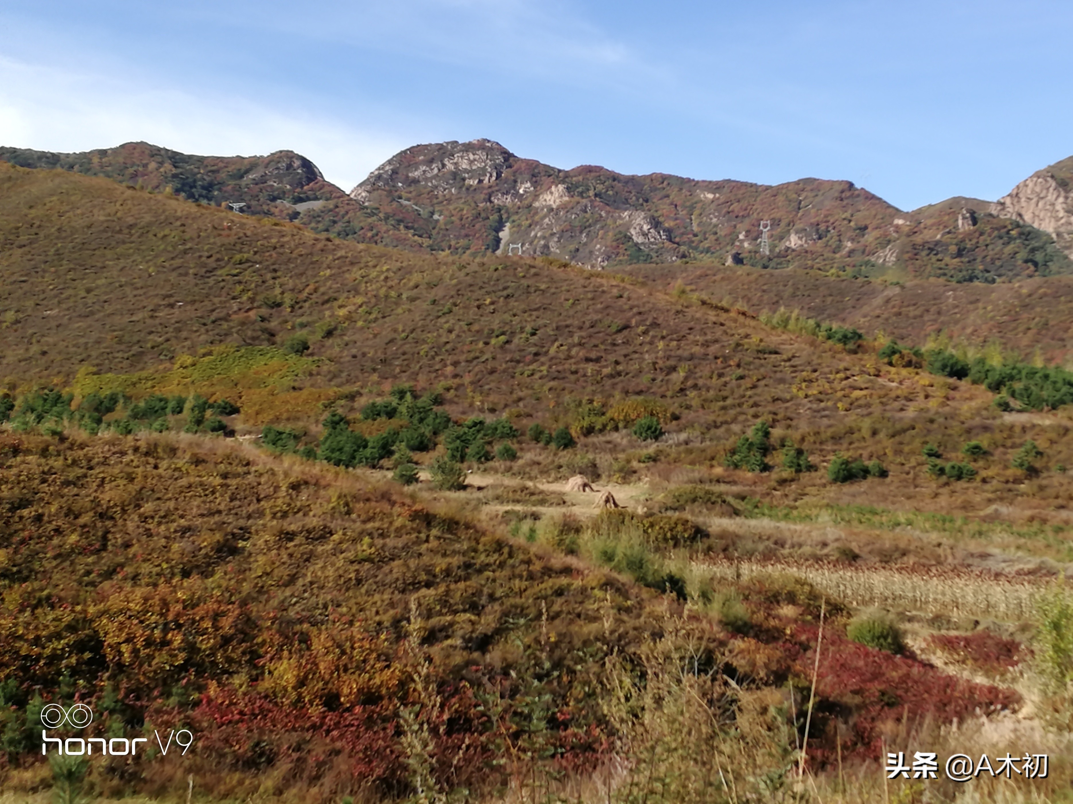 庄子「秋水」原文及译文