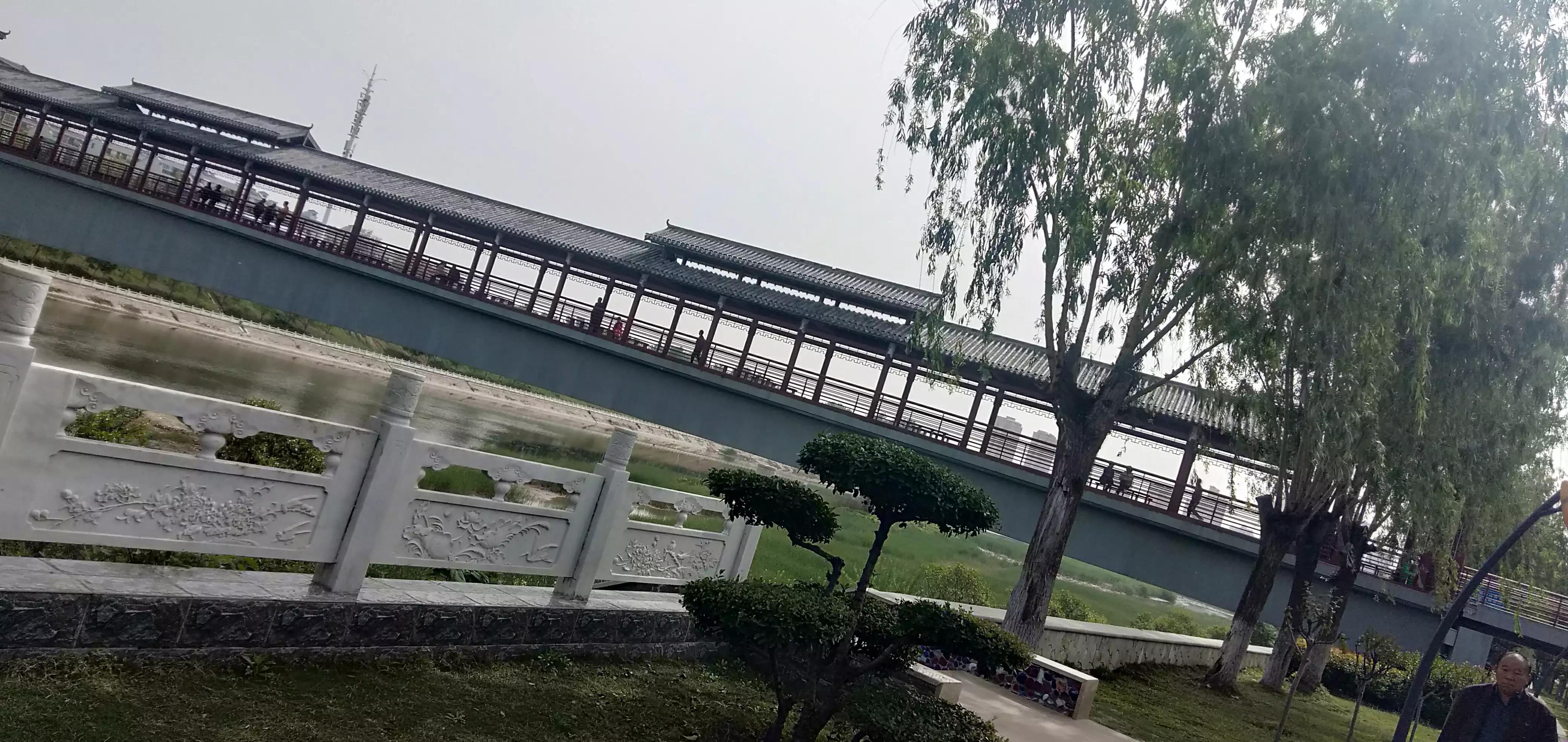 素质问题（短篇小说）