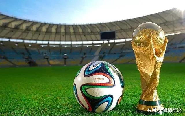 世界杯：12月9日比赛之分析预测