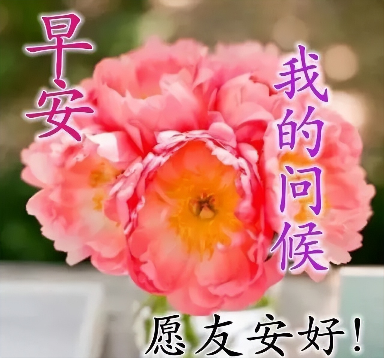 最新创意夏日早上好图片带字 愿你欢欣喜悦、事事都美好图片