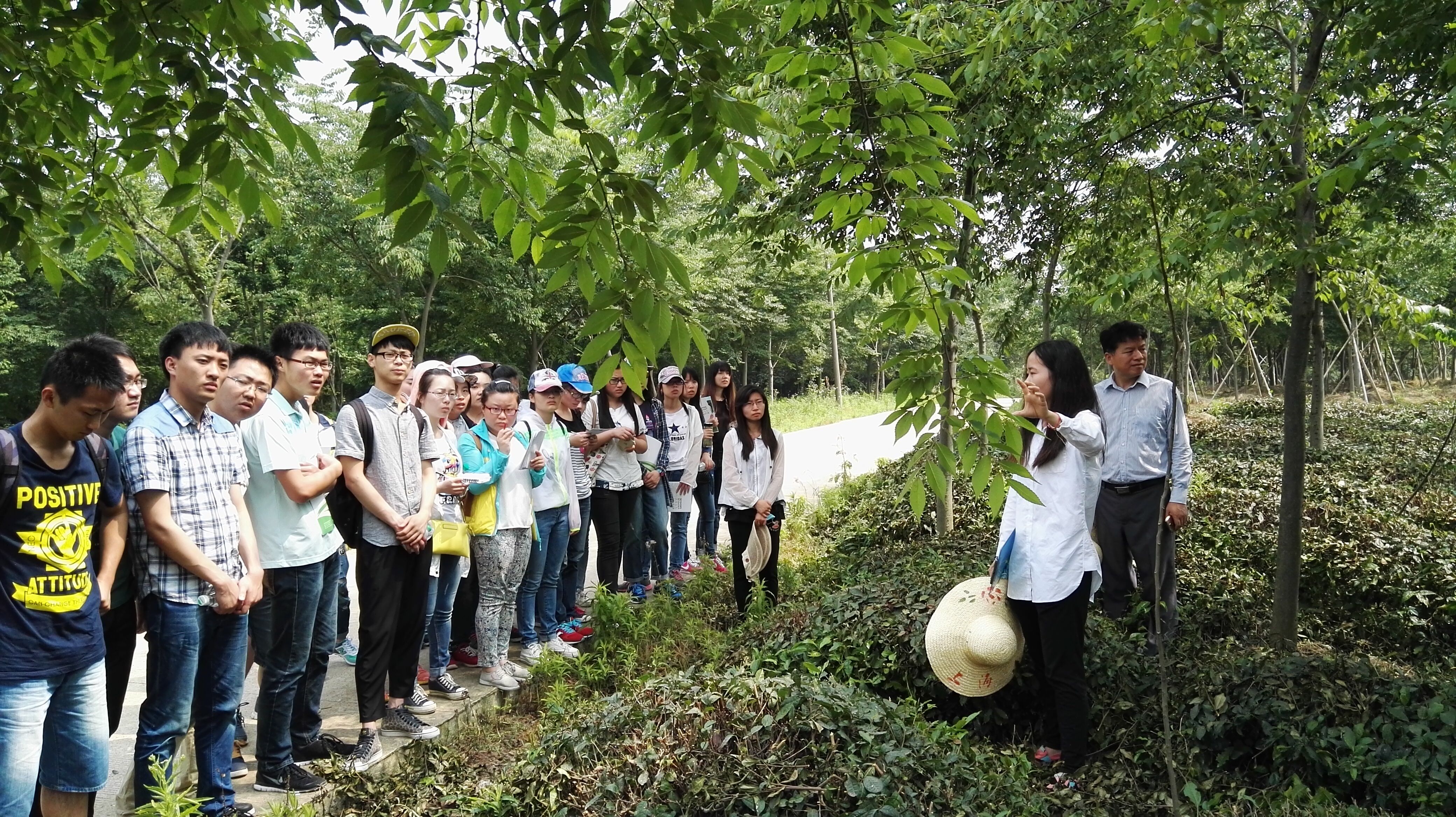 让更多“新林人”成为“兴林人”