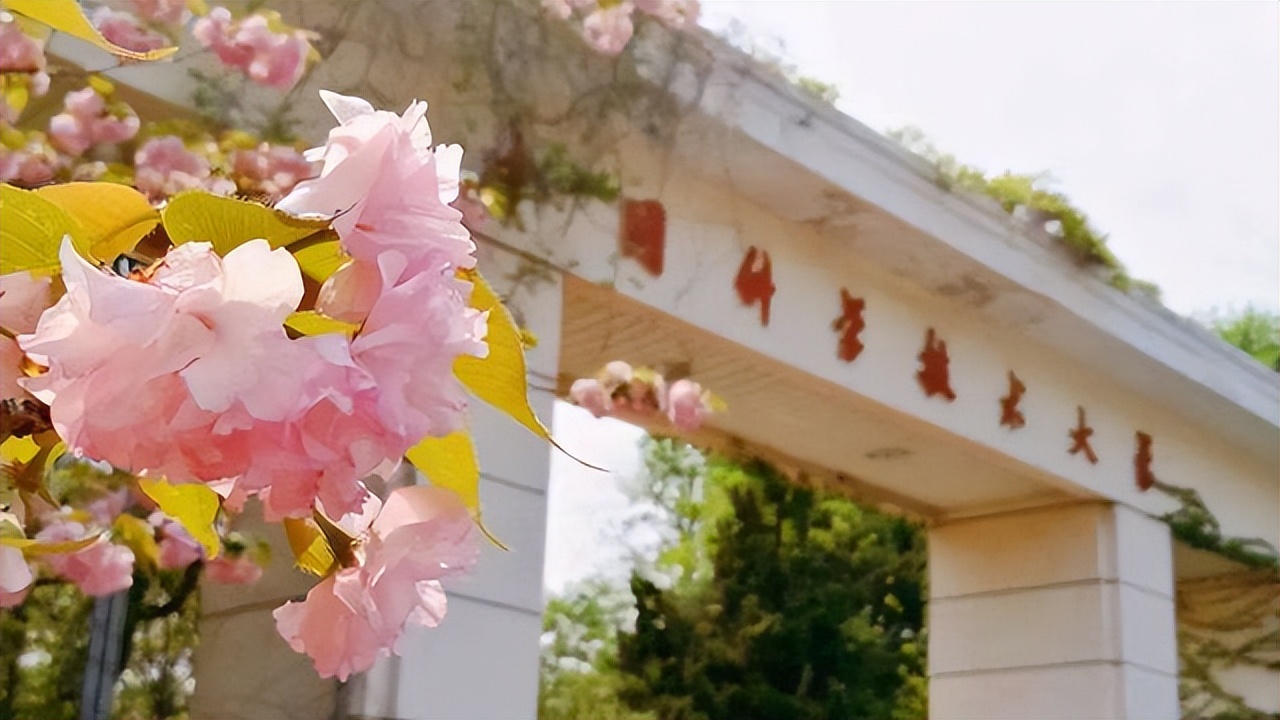 安徽高校排名更新，中国科学技术大学第一，还有两所“双一流”