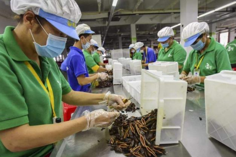 湖南“槟榔大王”家族内斗史：盲人富豪去世，亿万家产引争端