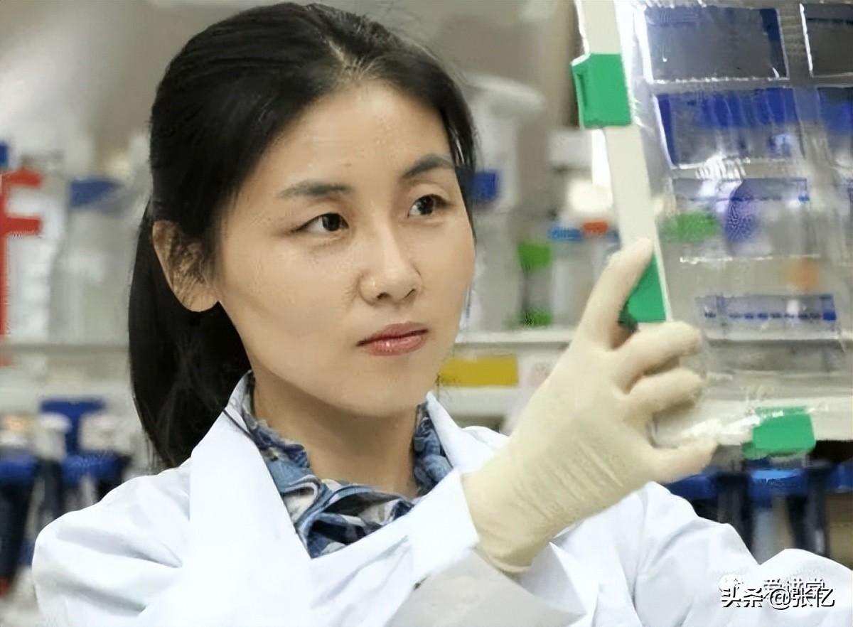 才发现，不是培养不出优秀人才，而是留不住优秀人才