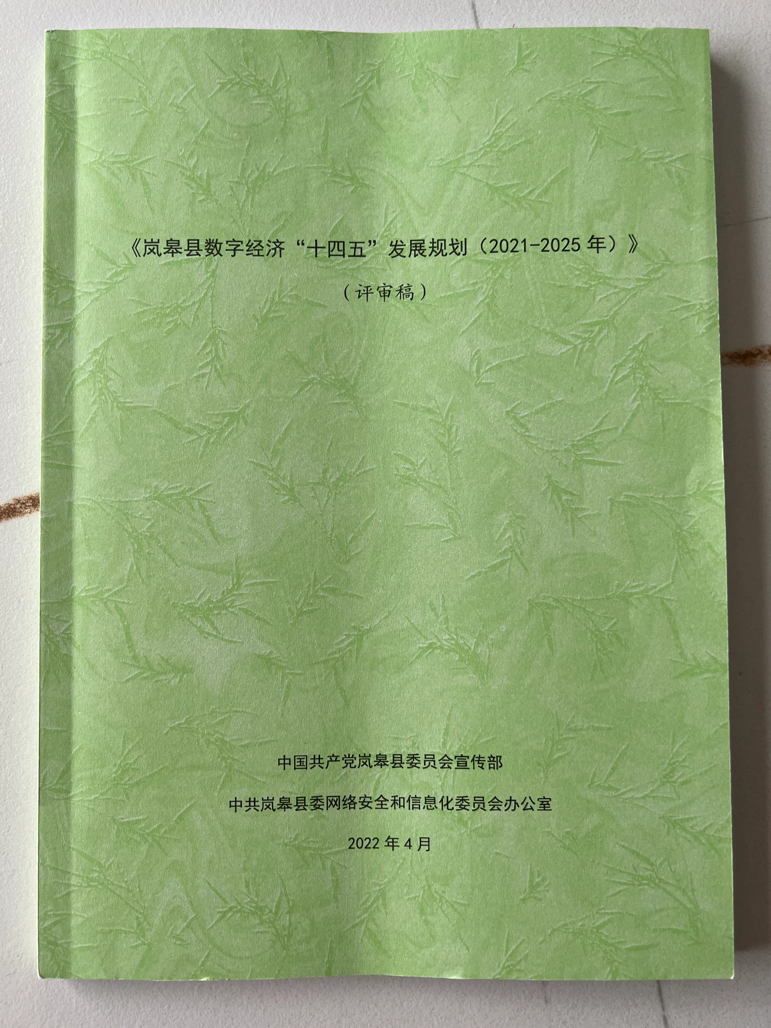 陕西安康岚皋历史(安康岚皋是巴文化的保存地)