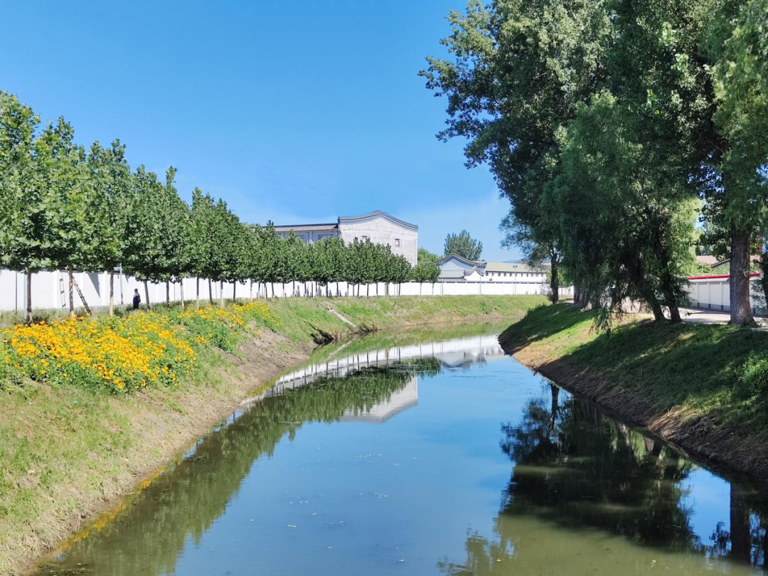 北小营这条河的两岸风景美如画