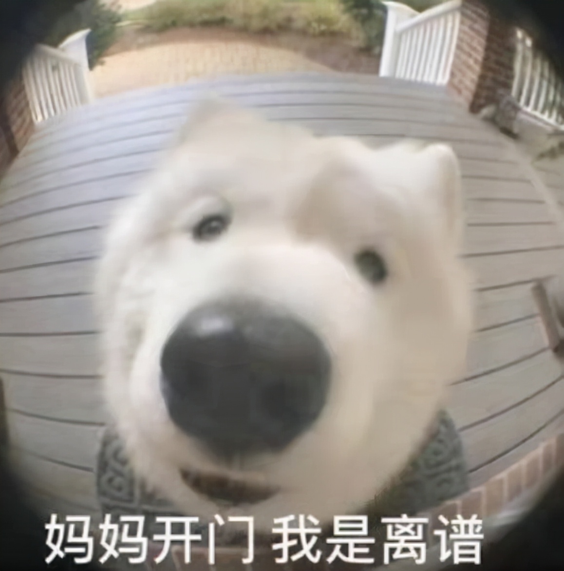 2021十大顶级烂剧，希望你一部都没看过