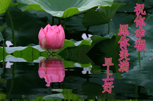 清晨最暖心的早上好问候句子 暖人心早上好祝福 早安好心情 开心满怀图片