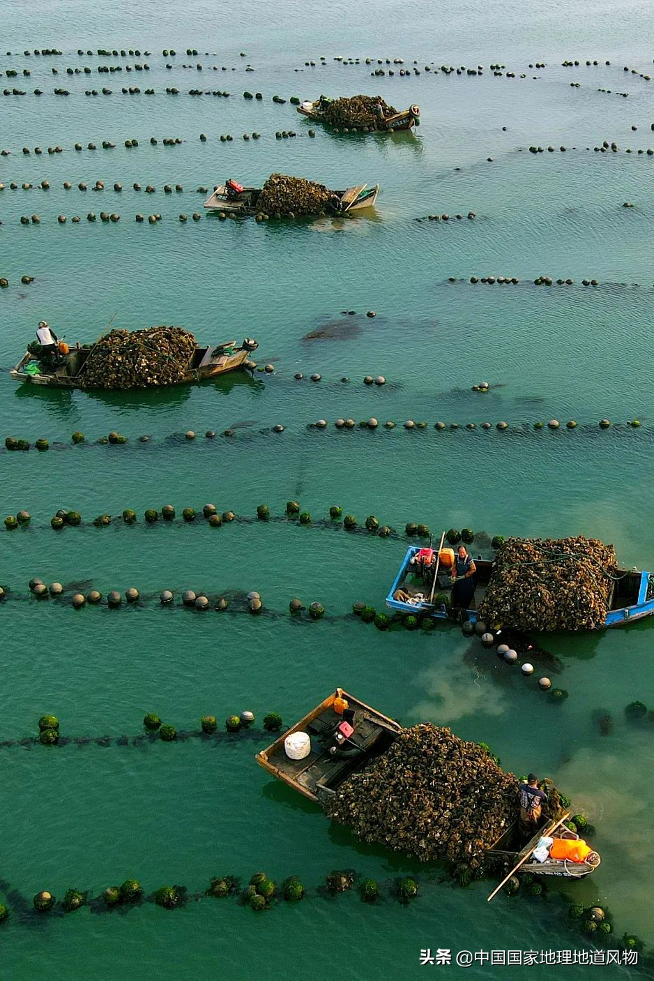 �й����ʴ�ʡ��ô�࣬����������óԣ�