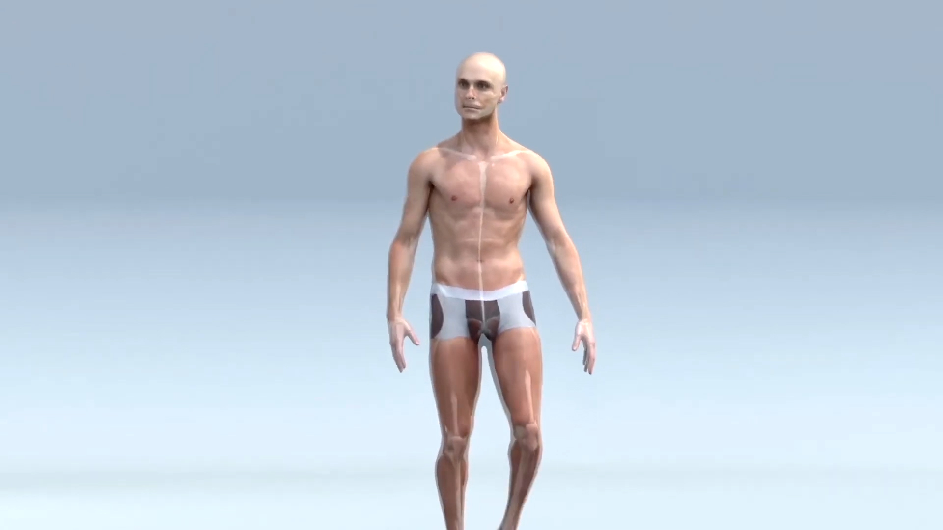 maya超强肌肉插件下载（含教程），真正电影级3d角色利器