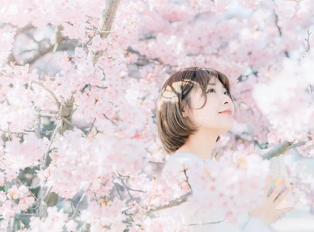 清新唯美的樱花人像