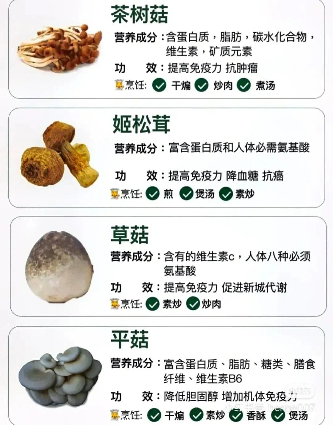 常見蘑菇的分類