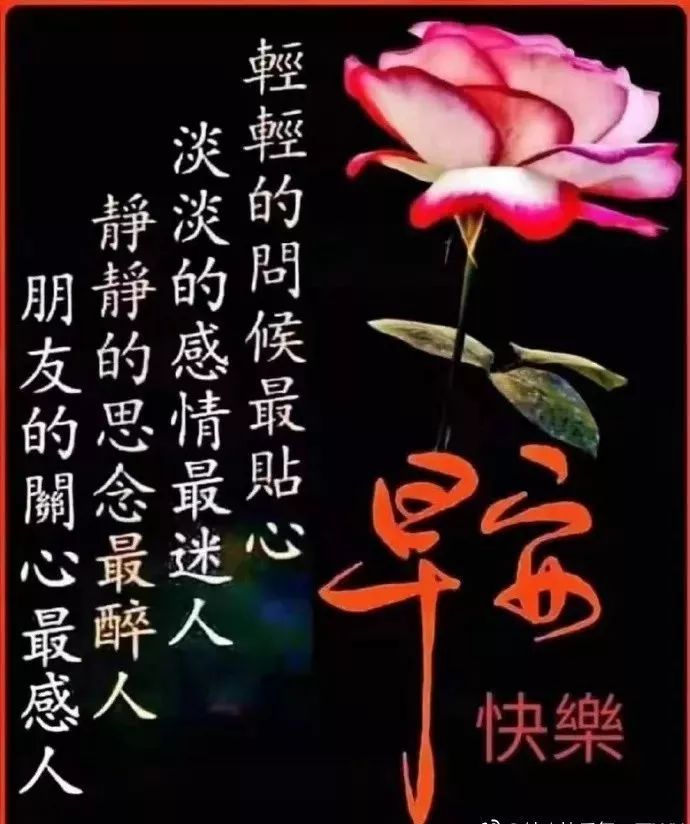 周四早上好祝福图片，早上好问候句子，送上祝福、一切美好图片