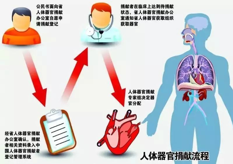 2006年，苏州女子要捐父亲遗体，被亲朋大骂：你是不是买不起墓地