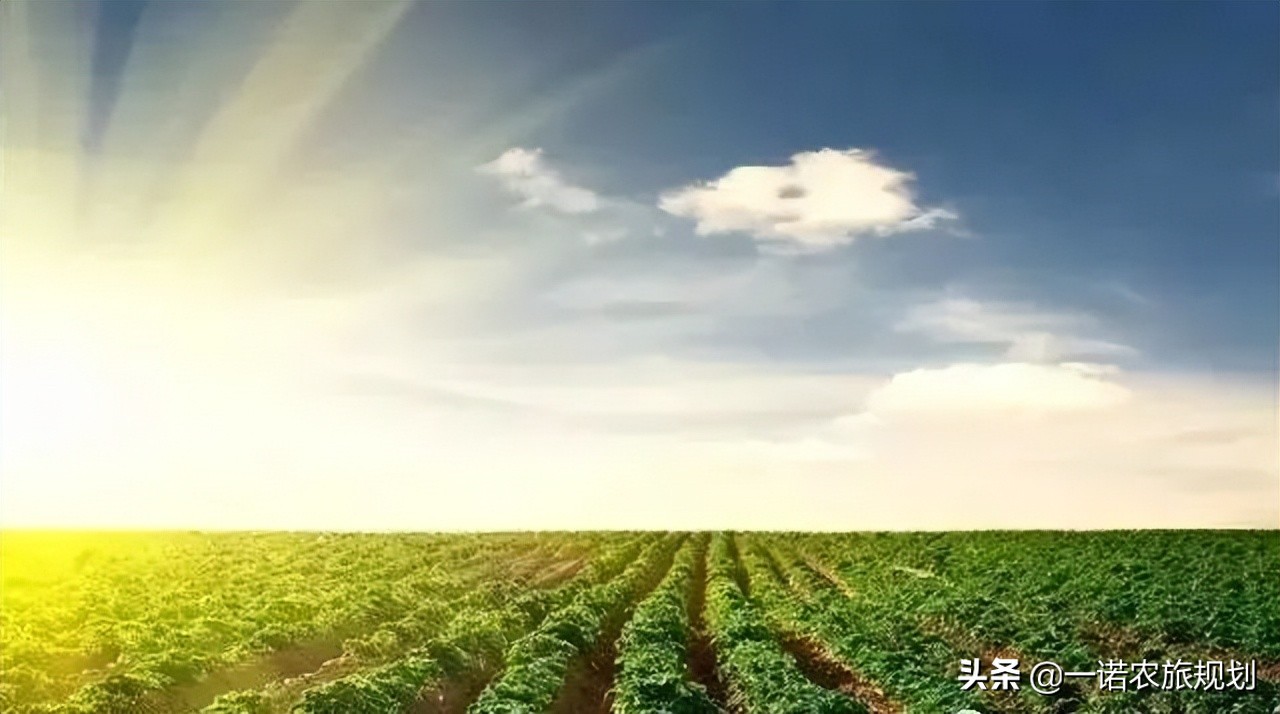 “農(nóng)業(yè)+文化+旅游+康養(yǎng)+地產(chǎn)”，疫情后中國(guó)重要投資方向