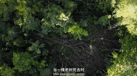 豆瓣第一电影