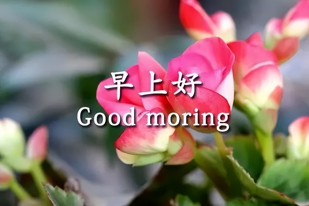 微信早上好动态问候表情图片带祝福语 把快乐和祝福轻轻送给你图片