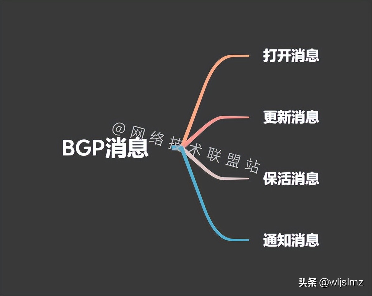 硬核干货：6000字 30张图，带你彻底搞懂BGP动态路由