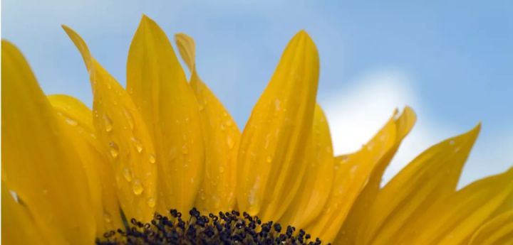 毕业即获得双硕士学位！快来看看北欧5TU的联合硕士项目（上）