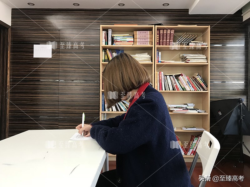 艺术生文化课提升要多少钱：至臻高考全托辅导