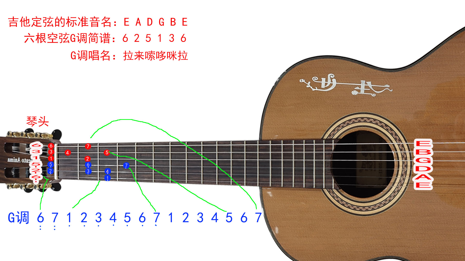 1234567音符对应吉他位置及吉他全品音名指法示意图