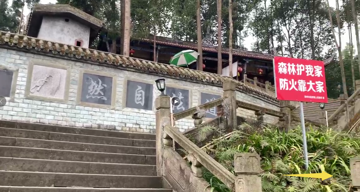 成都周边周末亲子游 逛古镇品美食 游竹海