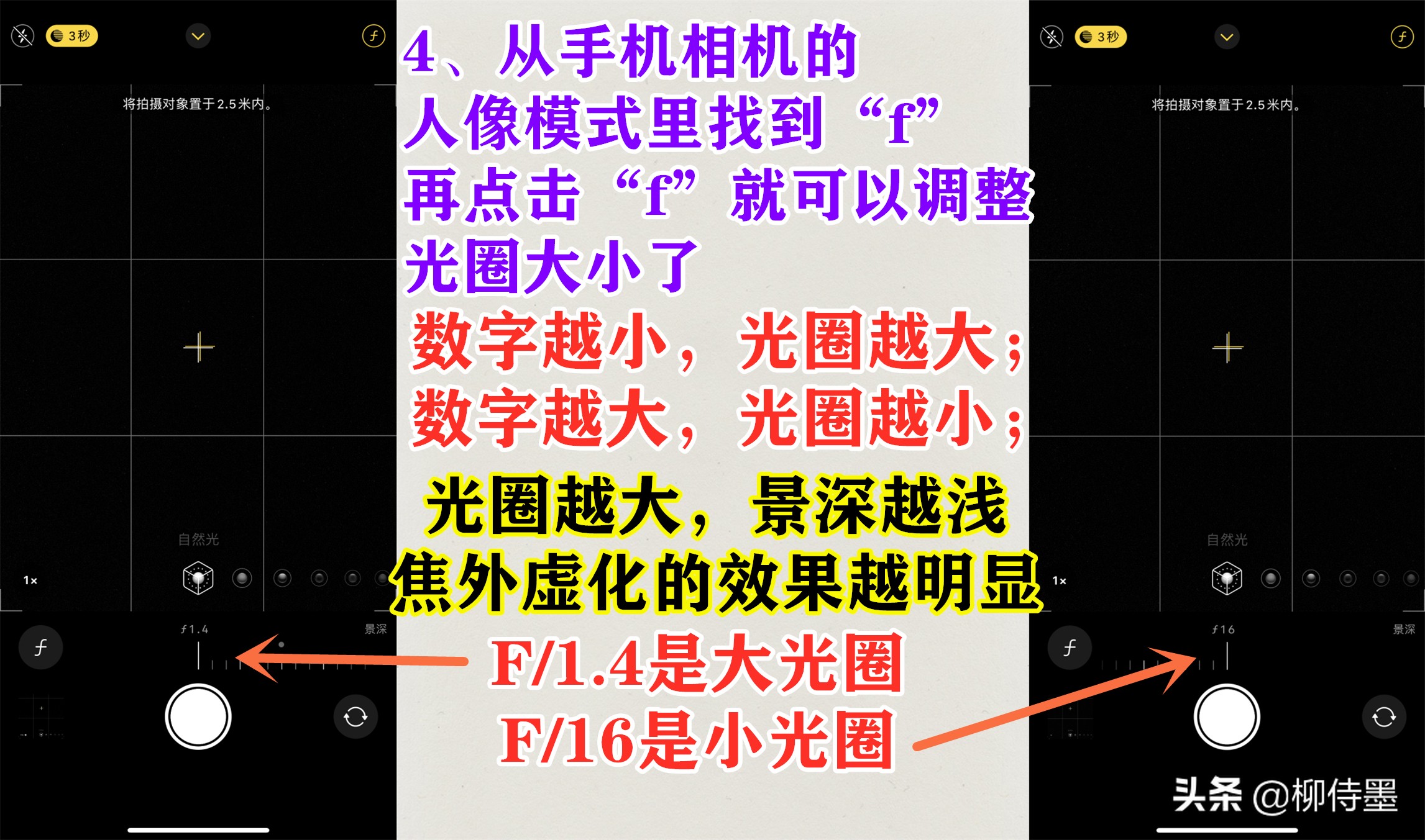 萱草照片如何拍出高級感？ 手機拍照簡單兩步，攝影大片輕鬆拍