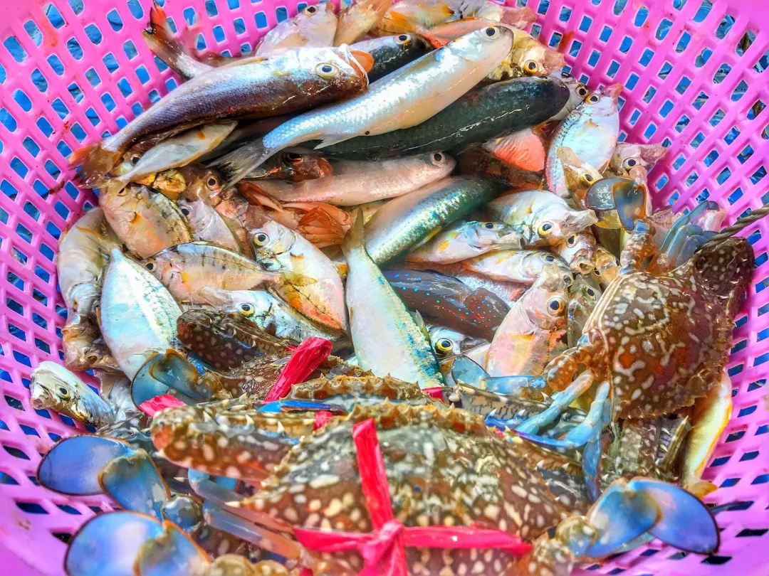 走,去海南过年去!撒网捕鱼、帆船体验、海鲜大餐,开心过大年
