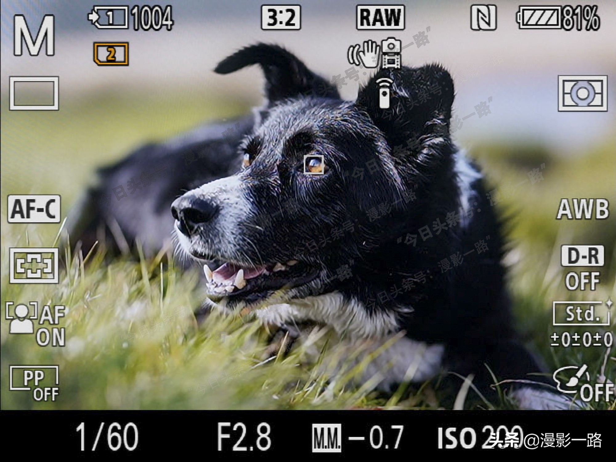 科技和AI正在对摄影和用户拍摄行为产生影响